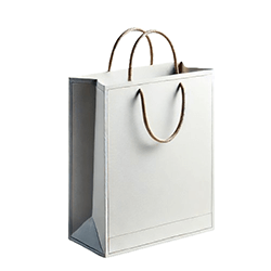 Custom Coated Paper Bags